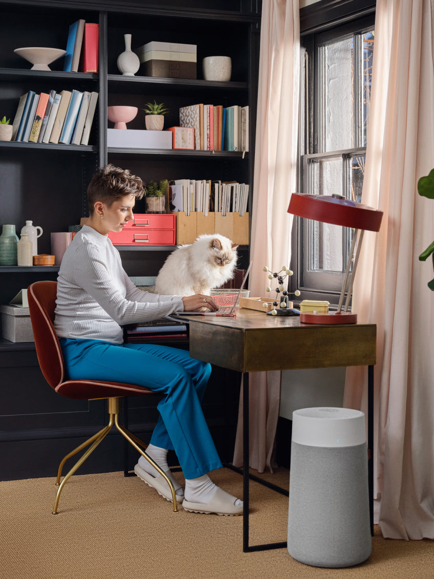 Fühlen Sie den Unterschied mit der Blueair Luftversorgung