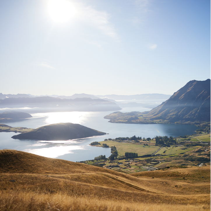 Blueair Turns to New Zealand Sheep Farms to create an electrostatic wool filter
