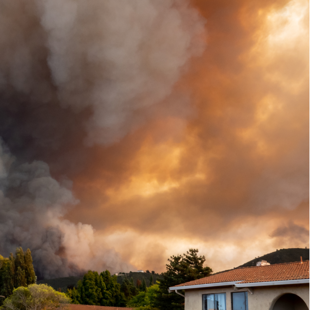 Wildfire smoke and indoor air quality: Best air Purifiers for clean, fresh air