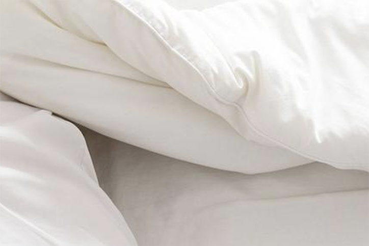 Can air purifiers get rid of dust mites?