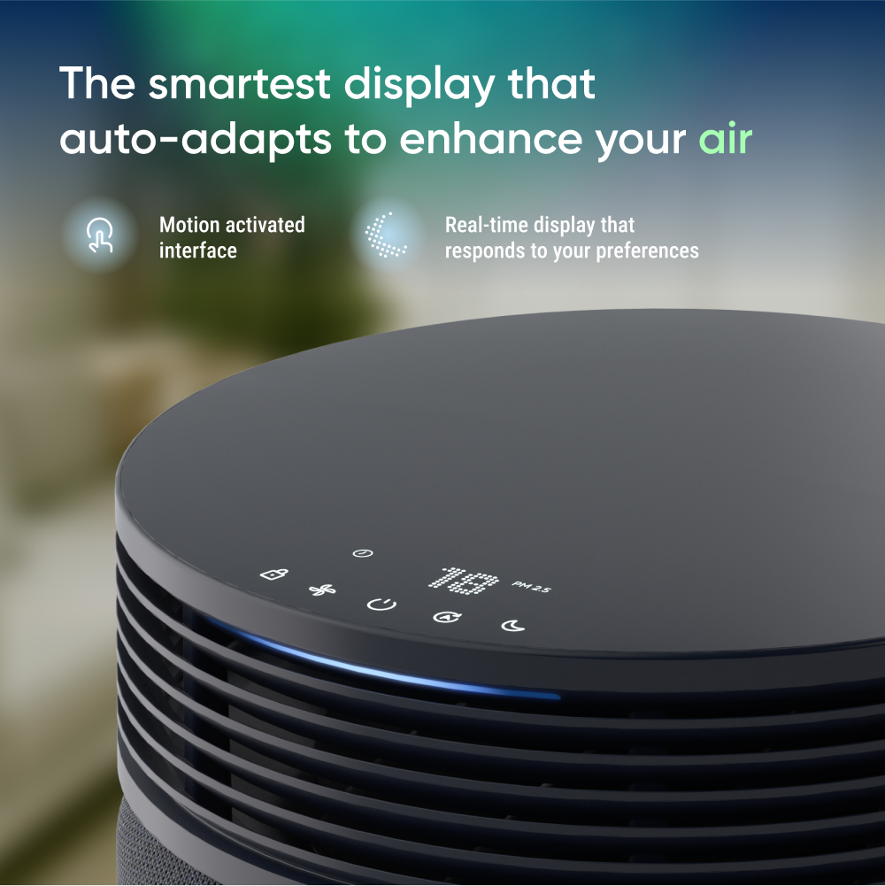 Blue Signature™ Large - Midnight