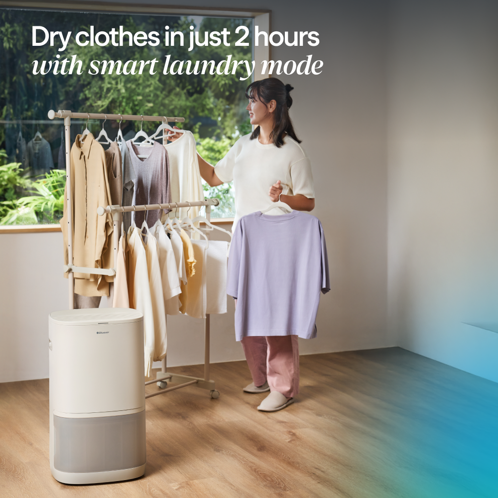 2-in-1 Dehumidifier + Air Purifier