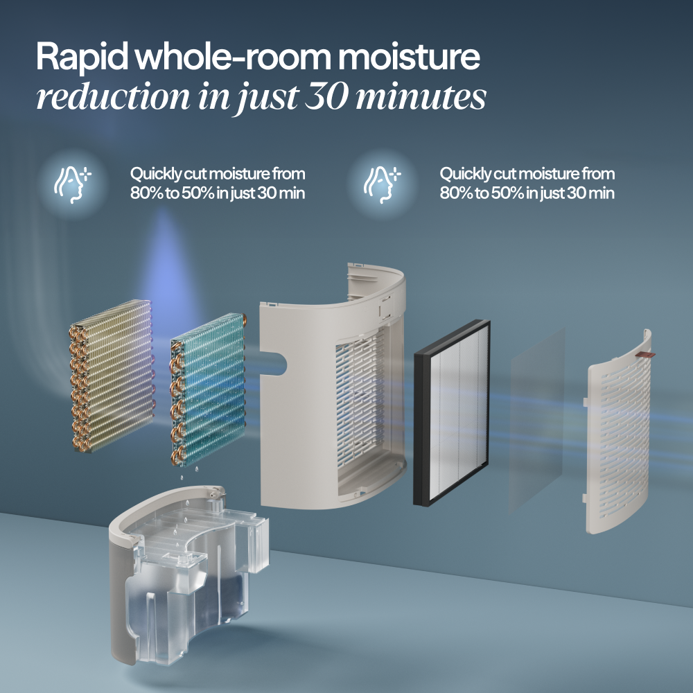 2-in-1 Dehumidifier + Air Purifier