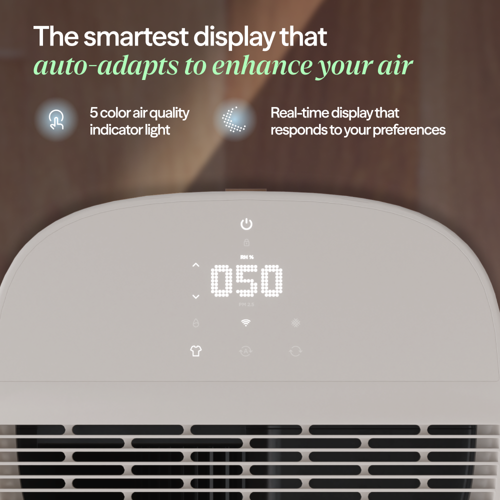 2-in-1 Dehumidifier + Air Purifier