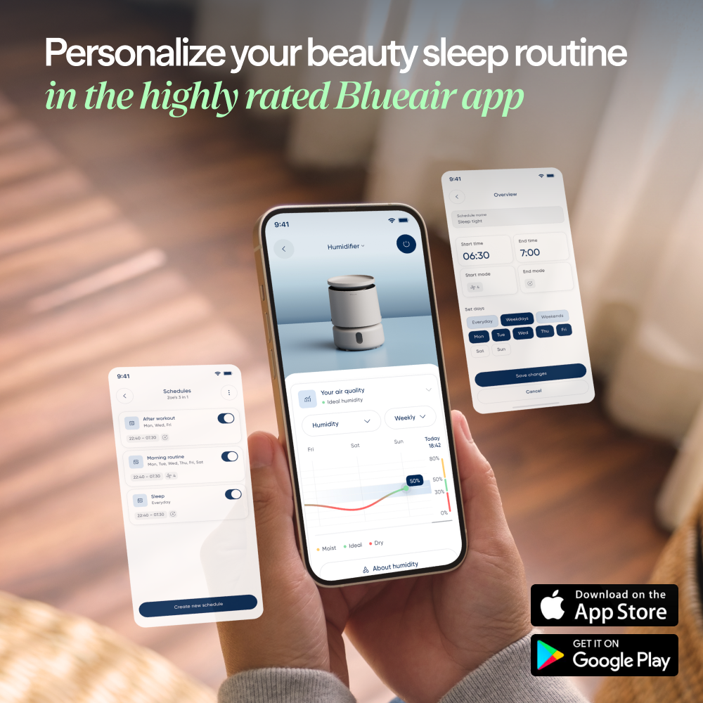 2-in-1 Dehumidifier + Air Purifier